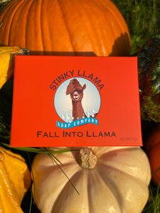 Fall Into Llama